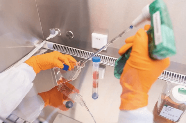 Understanding The Role Of An Assay Development Scientist In A Bioanalytical Lab